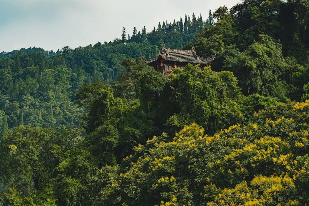 武侯祠 · 4
